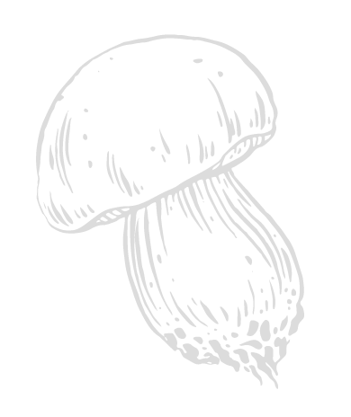 mushroom