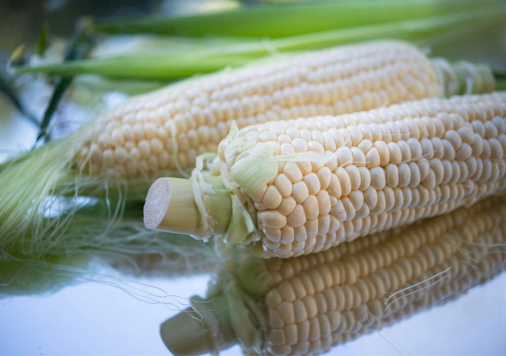 white popcorn